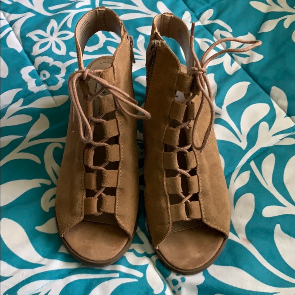 Steve Madden Booties